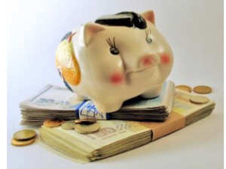 piggy bank