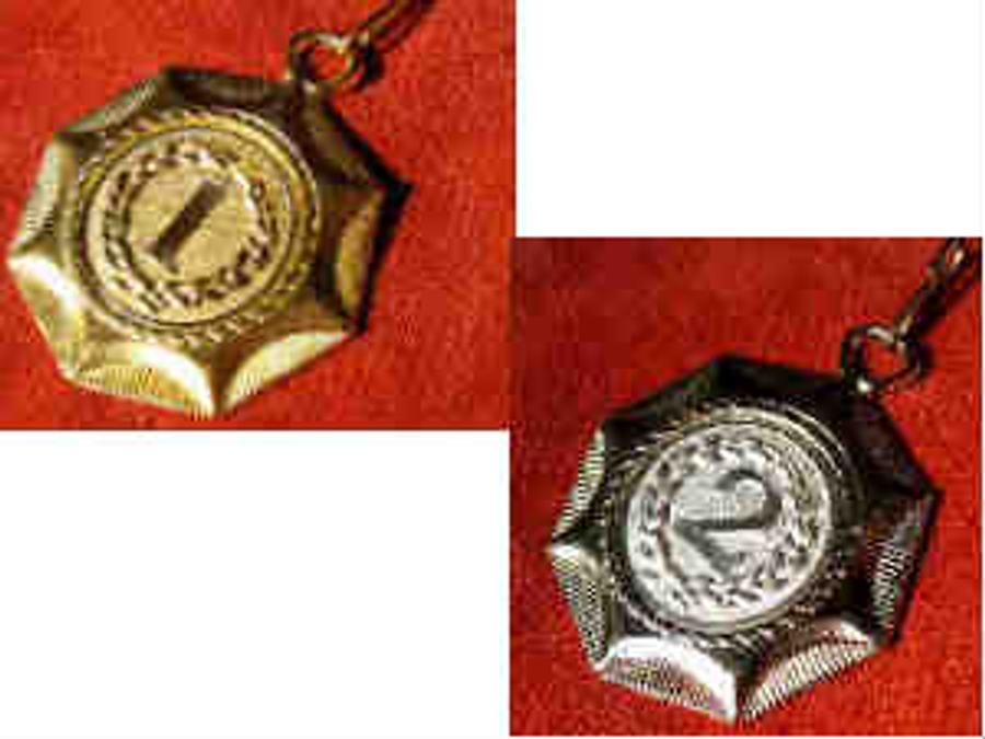 Gold Silver coin