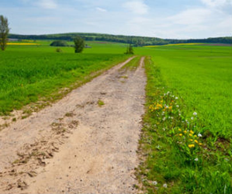 land