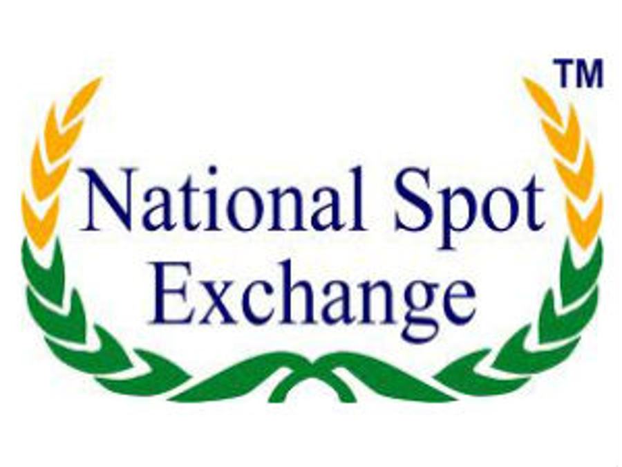nsel logo