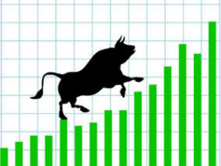 bull