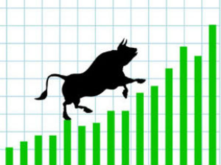 bull10