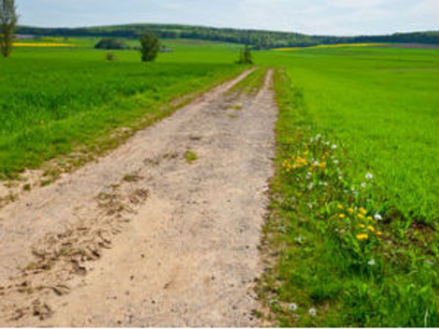 land