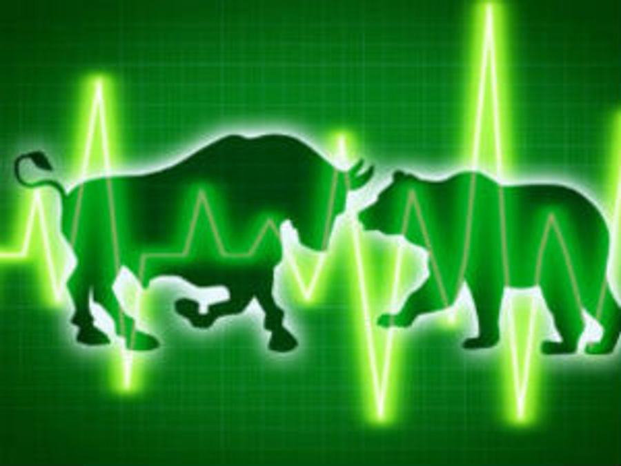 bull-bear