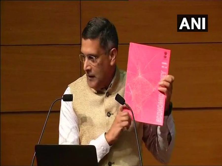 Eco Survey Cover Pink to Highlight Gender Inequality