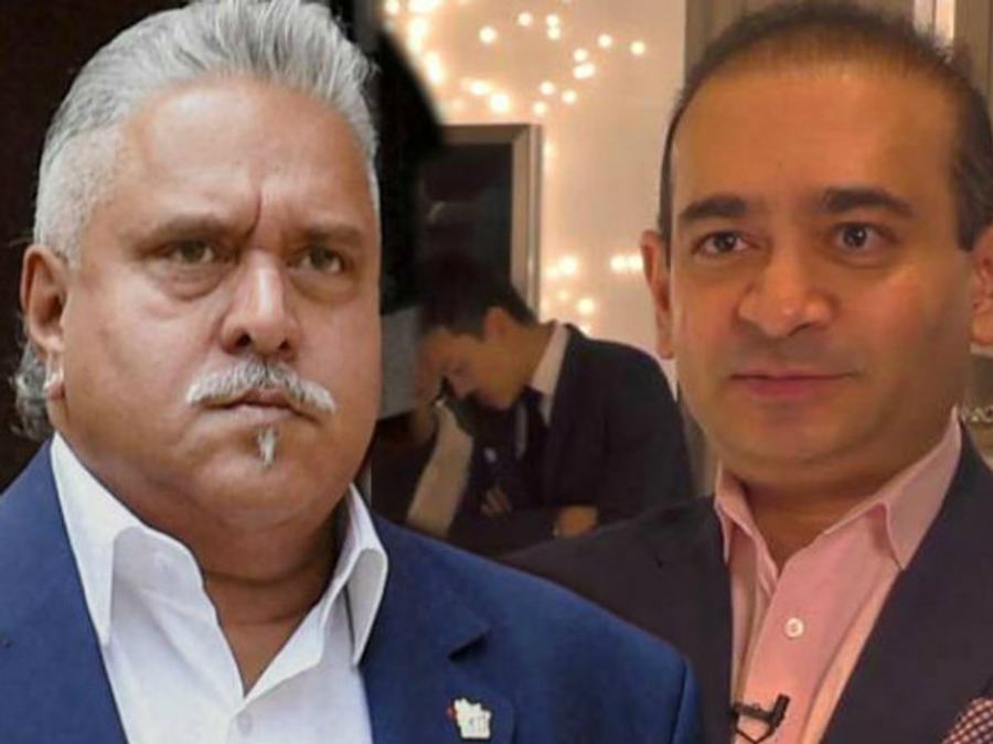 nirav modi and vijay mallya