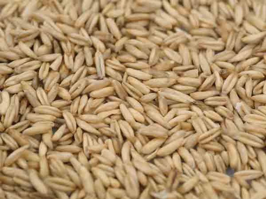 Food Minister Says Centre Working On Portability Of Food Grains Entitlement