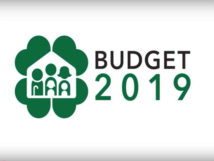 Union budget 2019