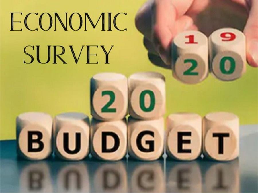 Economic Survey 2020: Expenditure on Social Services Increased by 1.5% 