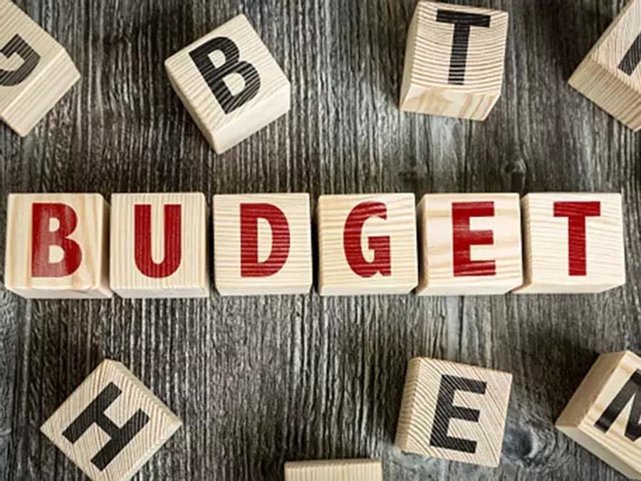  Budget 2020: What Gets Cheaper And Expensive 