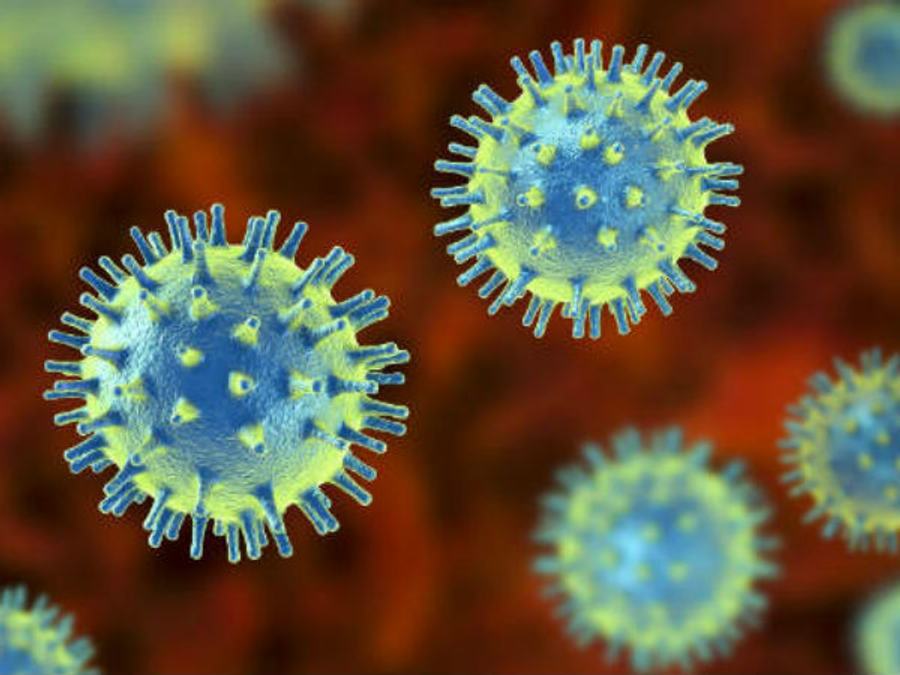 Stocks To Look At In The Midst Of The Coronavirus Pandemic 