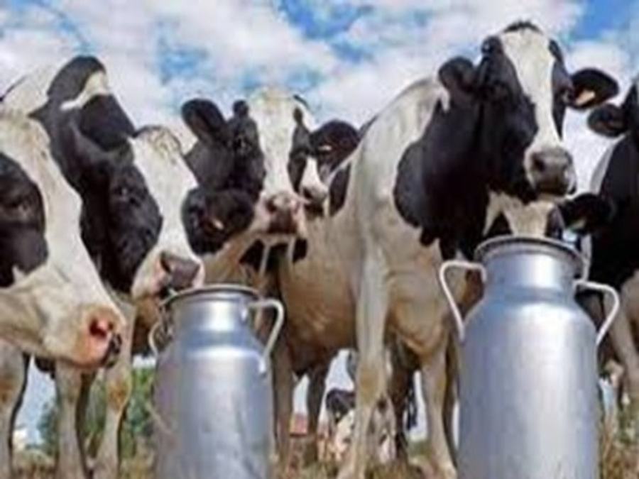 Animal Husbandry Infrastructure Development Fund Launched