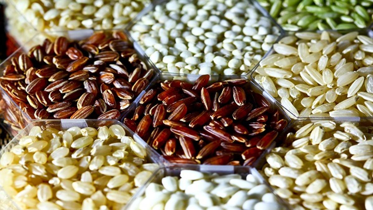 Dubai Launches Agri Trading Platform To Boost Farm Imports From India