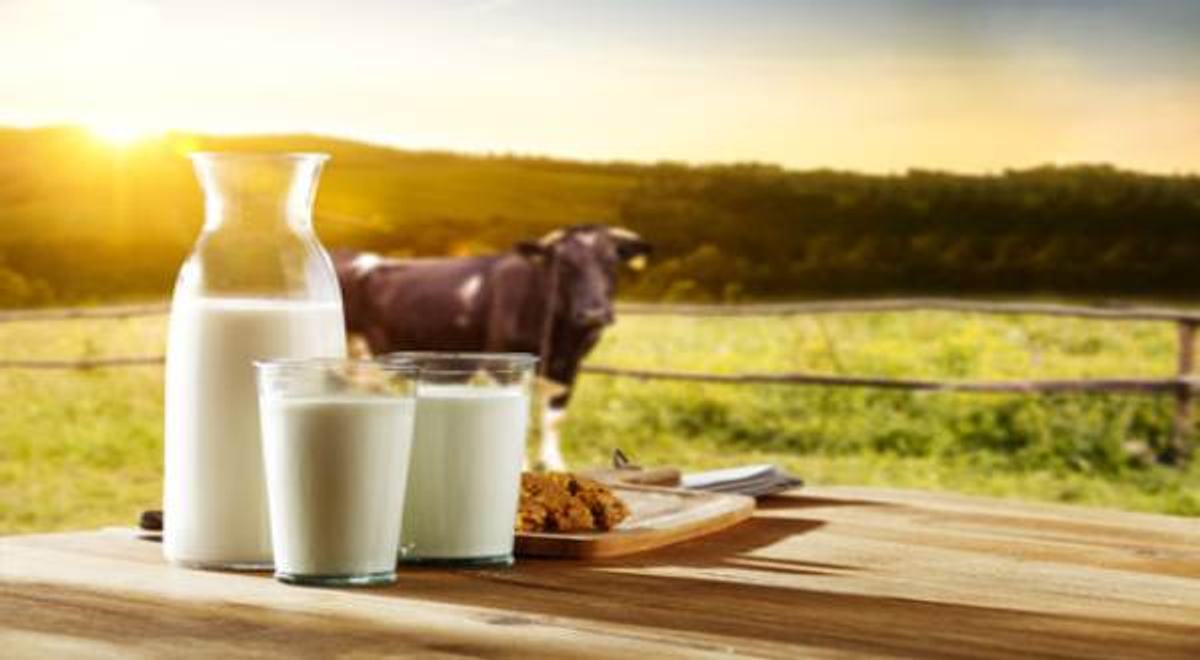 Mother Dairy 