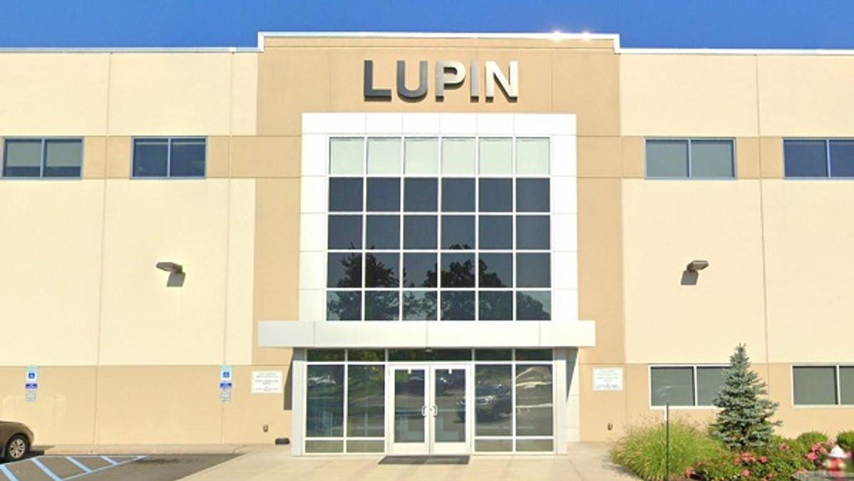Lupin