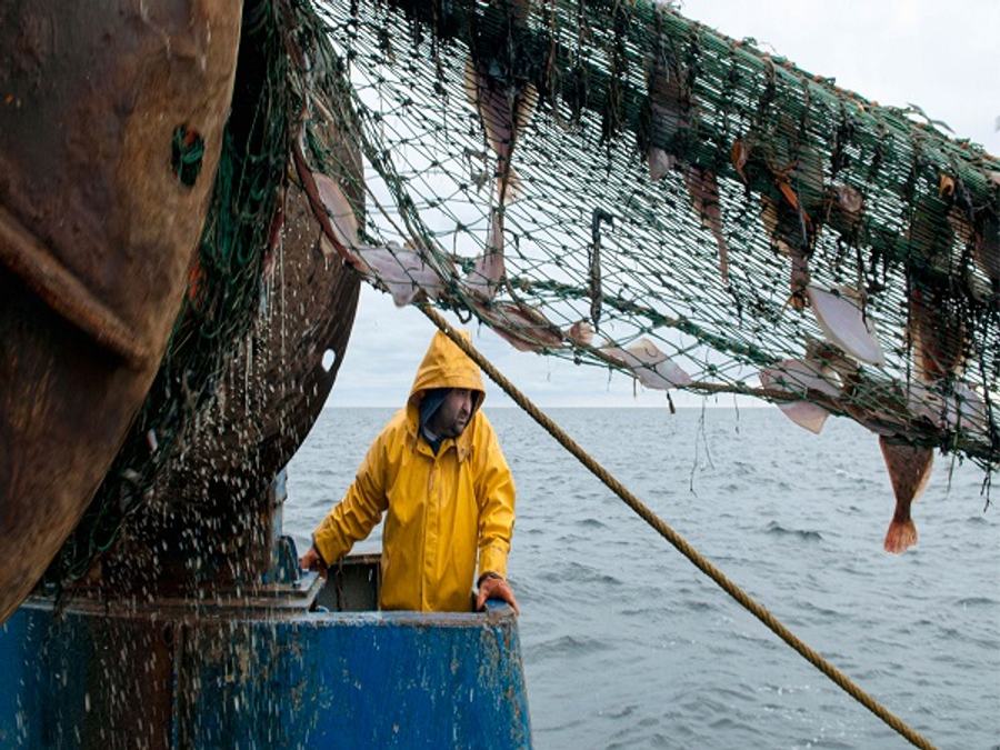 Fishermen 