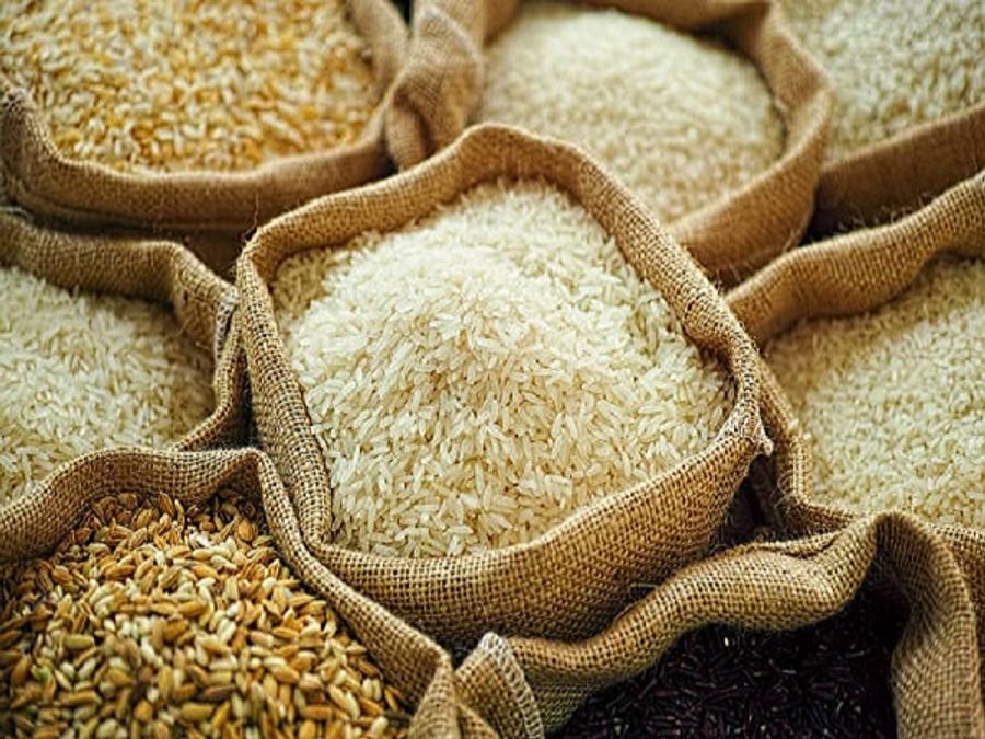 Rice Exports