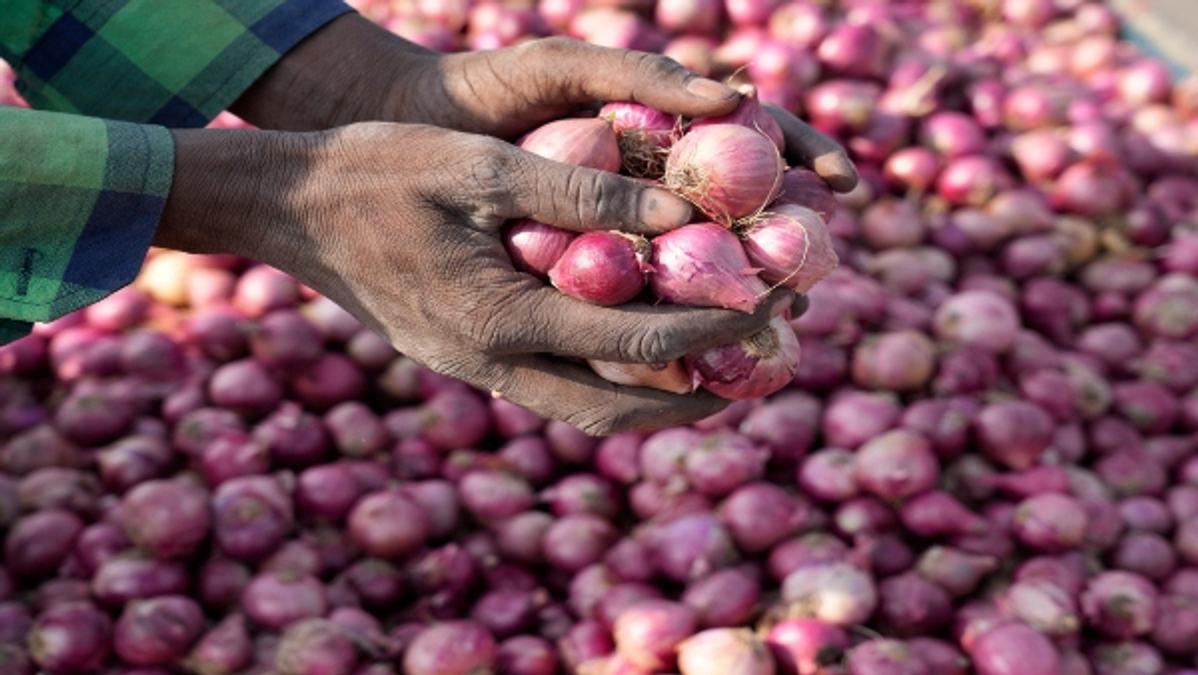 Onion 