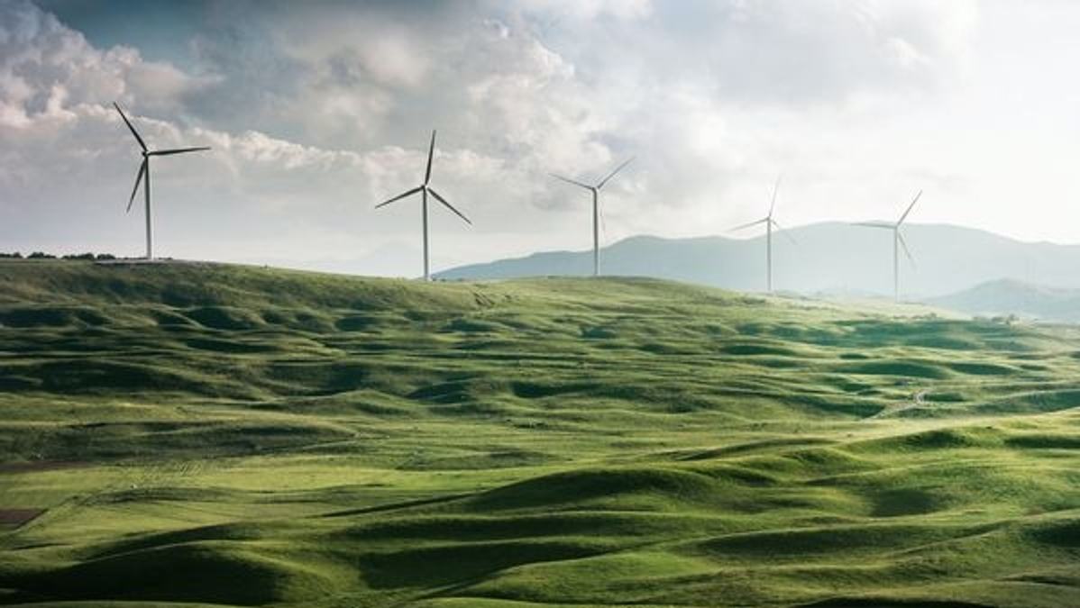 Image of a company demonstrating its sustainability initiatives