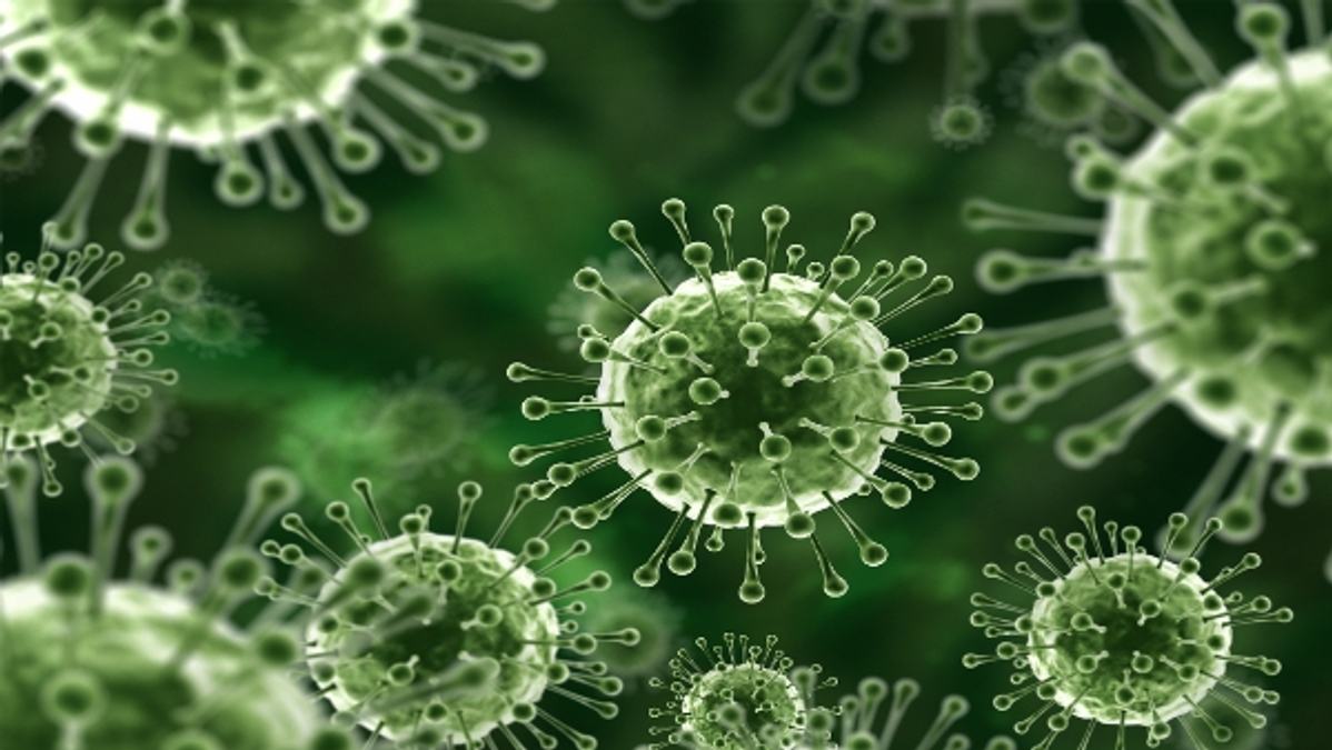 Nipah Virus
