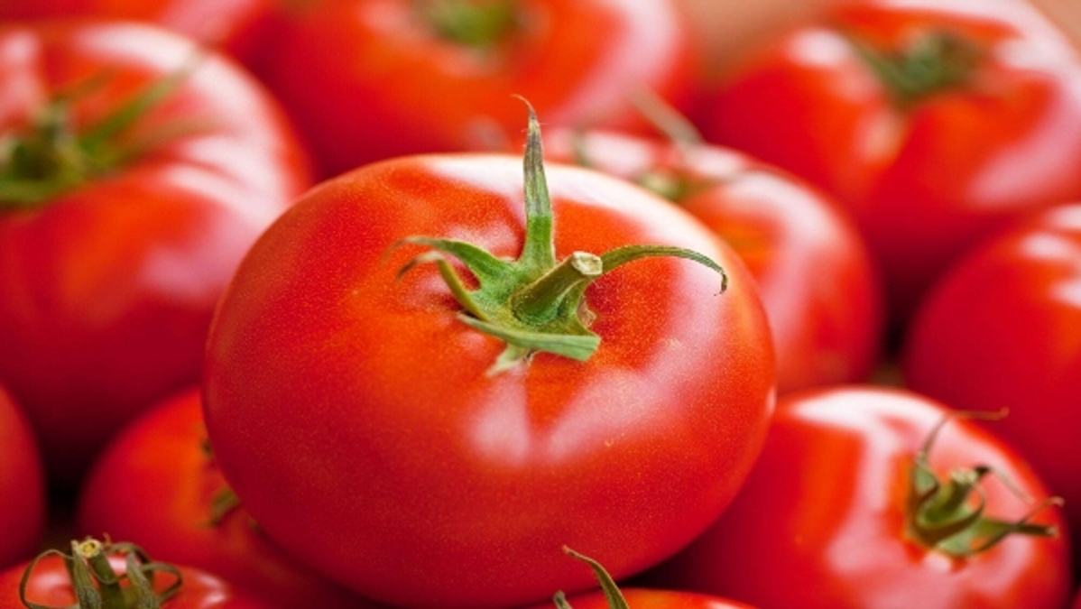  Tomato Prices