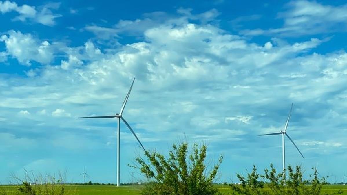 company setting net-zero target