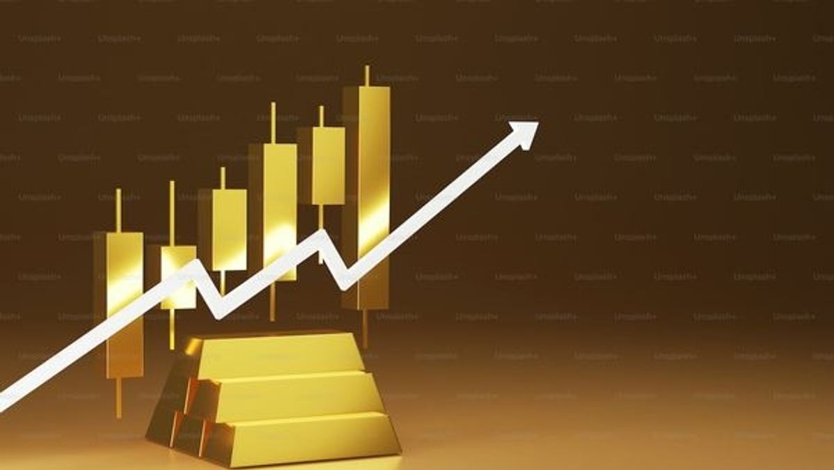 Professional investment manager