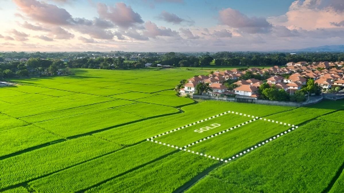 Land 