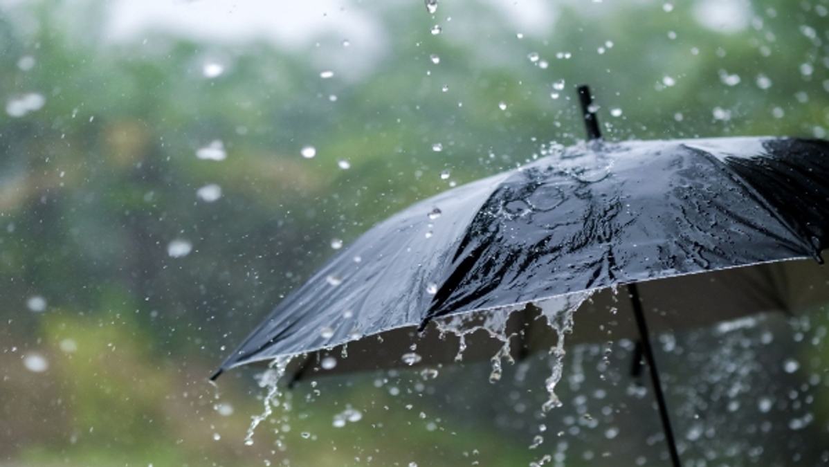  Rain 