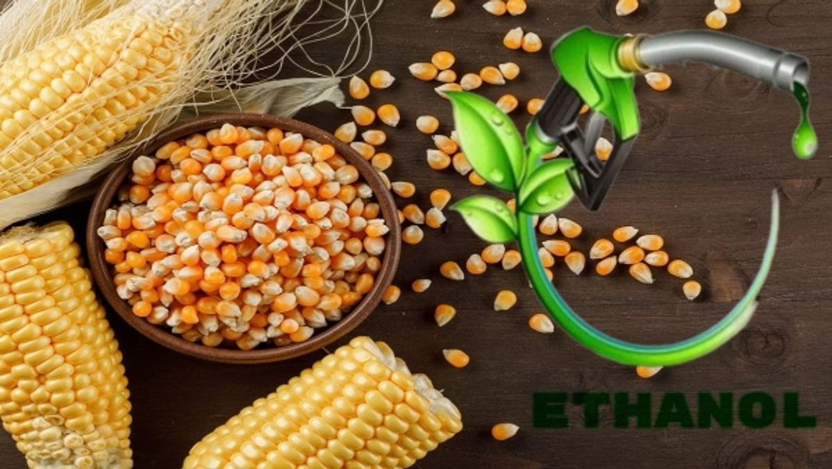  Maize Procurement & Ethanol Production