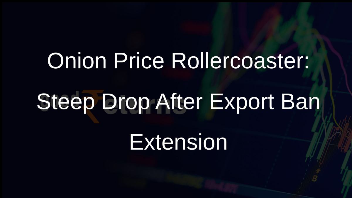 Onion Price Rollercoaster: Steep Drop After Export Ban Extension