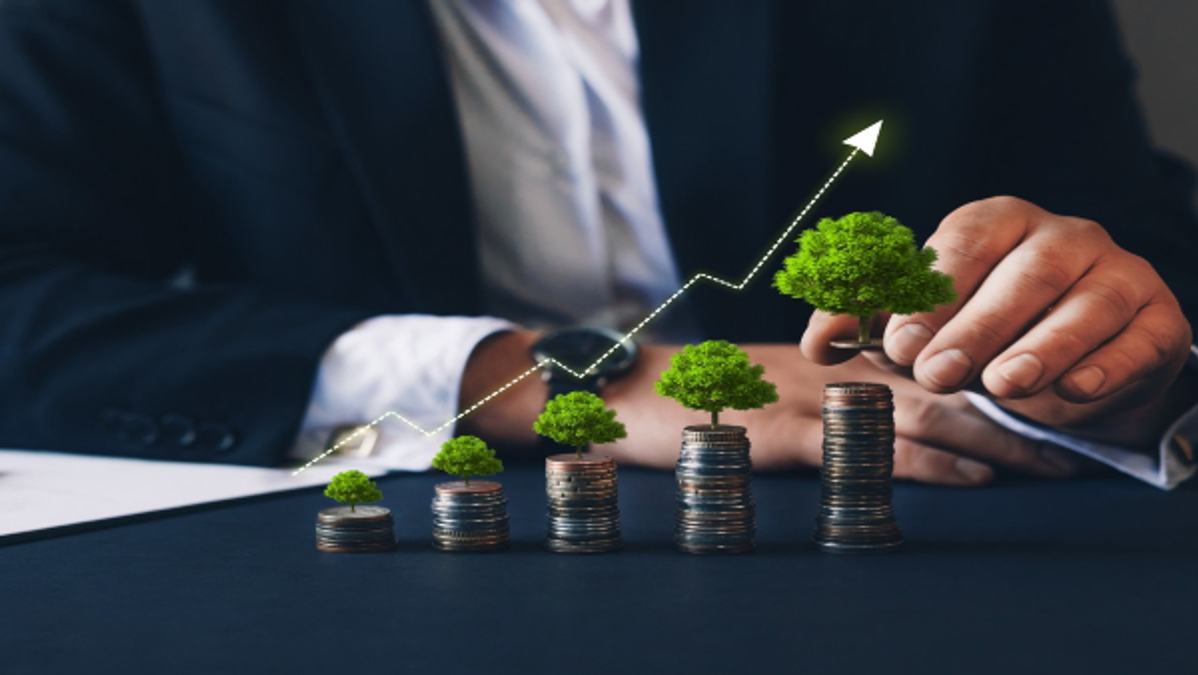 mutual fund