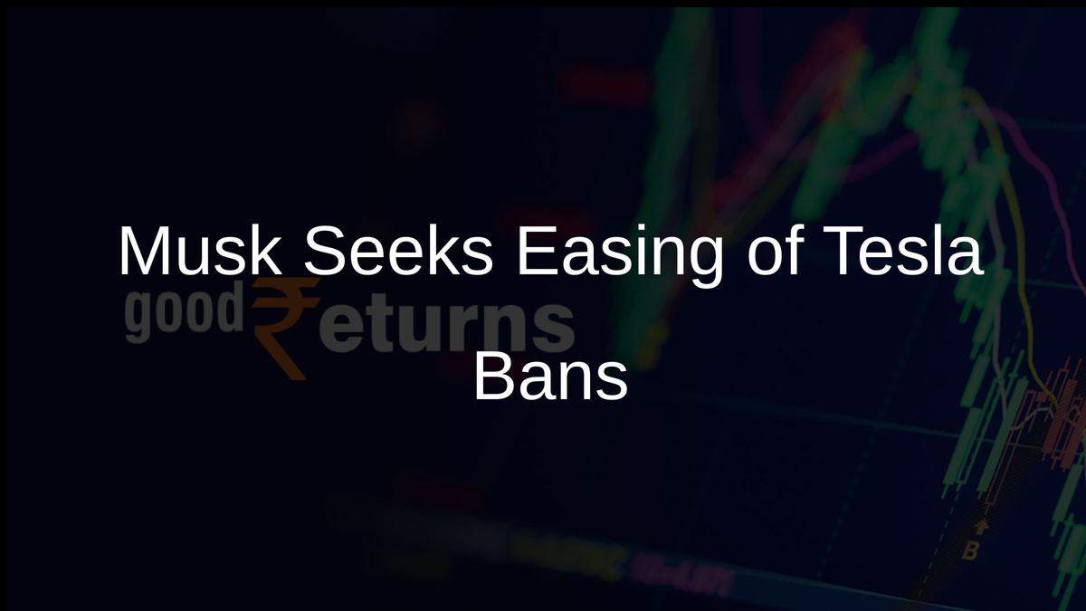 Musk Seeks Easing of Tesla Bans
