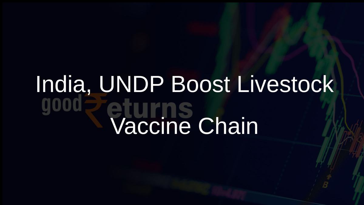 India, UNDP Boost Livestock Vaccine Chain
