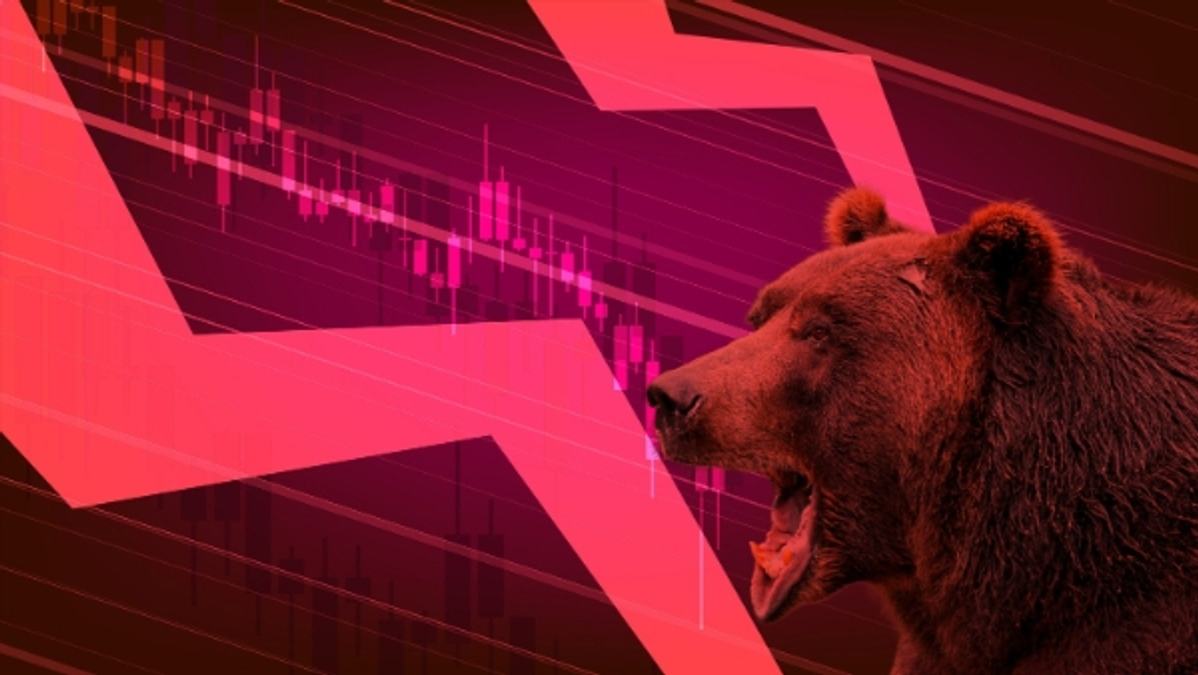 Bears