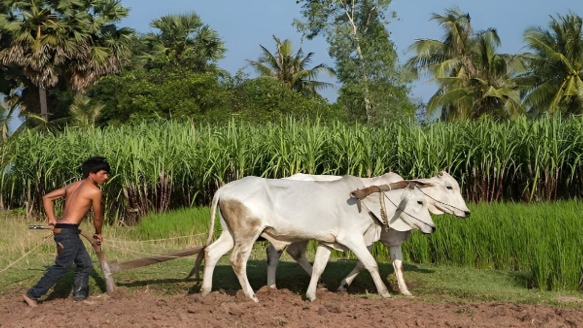 PM Kisan