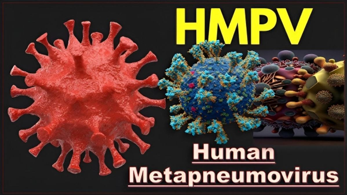 HMPV Outbreak  Are Healthcare And Hospital Stocks The New Safe Haven For Investors