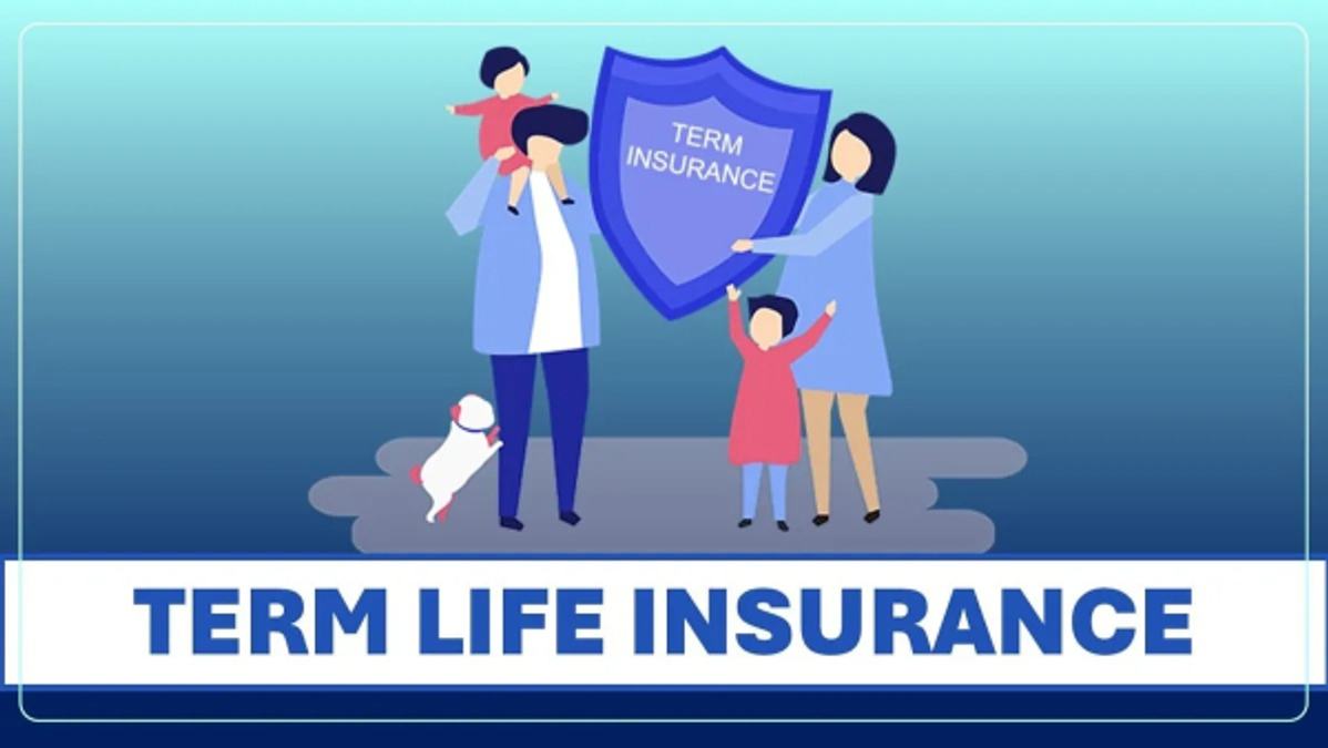insurance