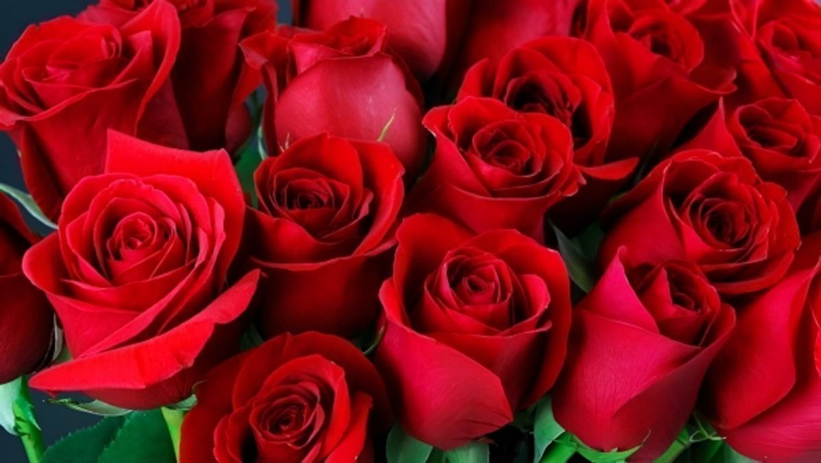 Valentine s day