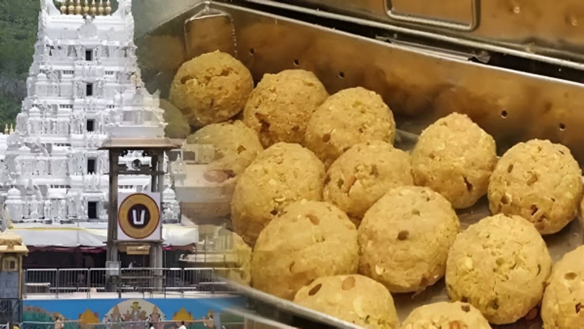 Tirumala Laddu