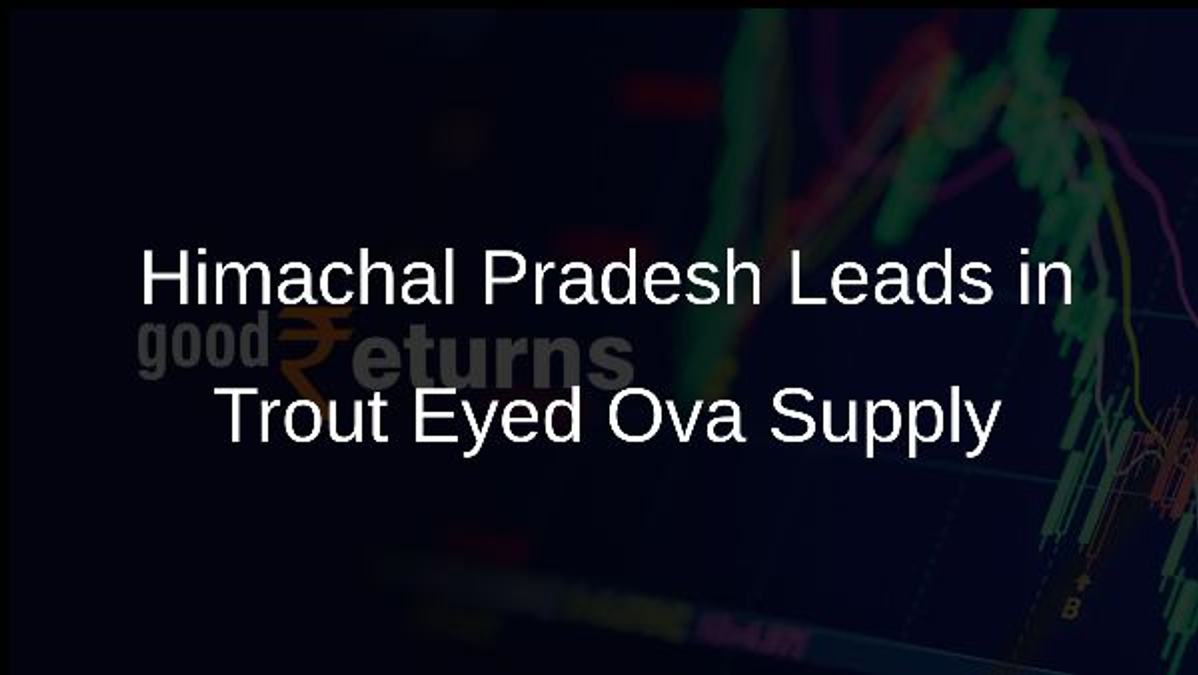 Himachal Pradesh Leads in Trout Eyed Ova Supply