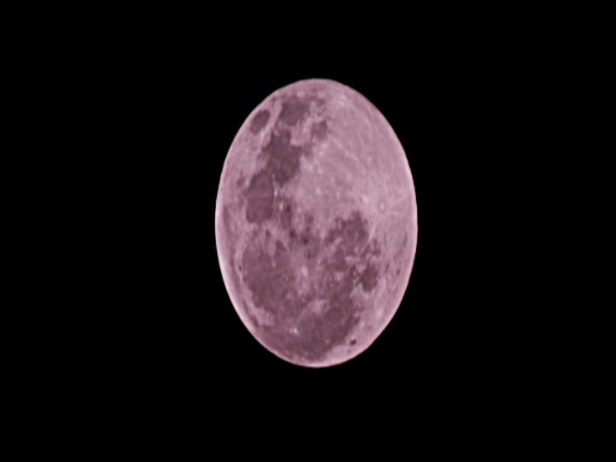 Pink Moon