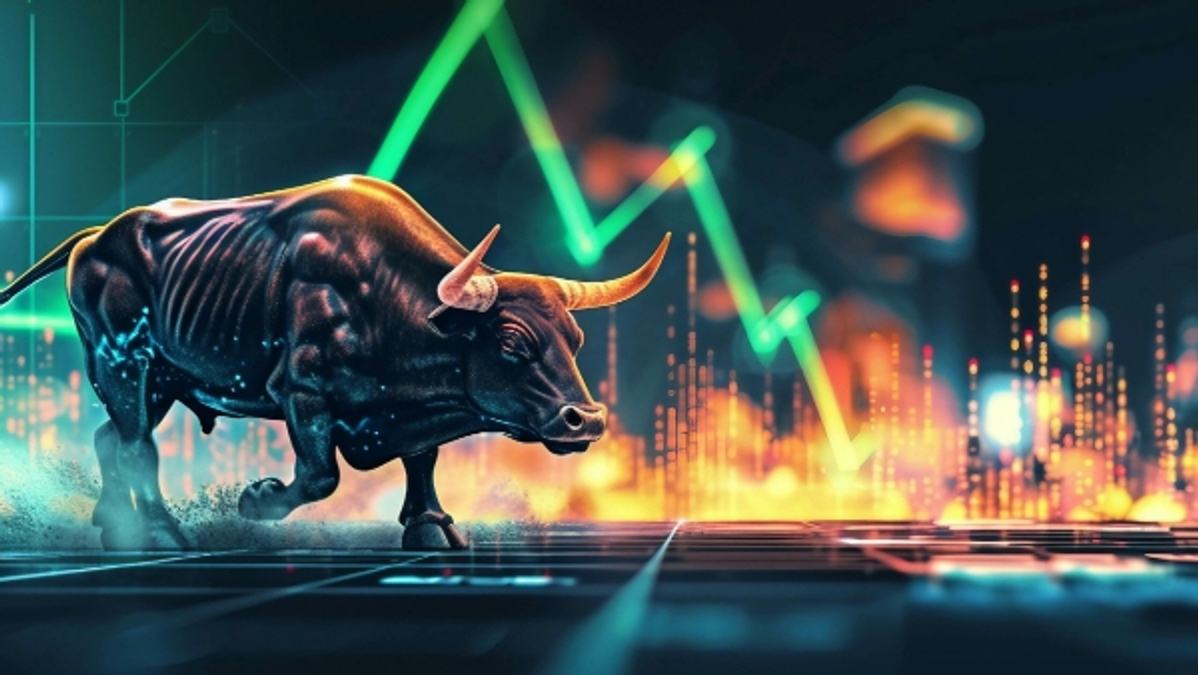 Stock Market Bulls