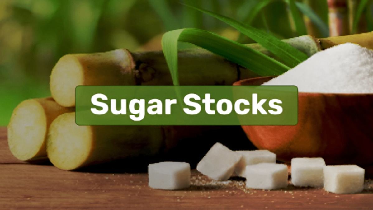 Rs 10 vs Rs 12 50 Dividend Incoming By K K  Birla Group Sugar Stocks  Magadh Or Avadh  Which Stock Are You Going To Pick