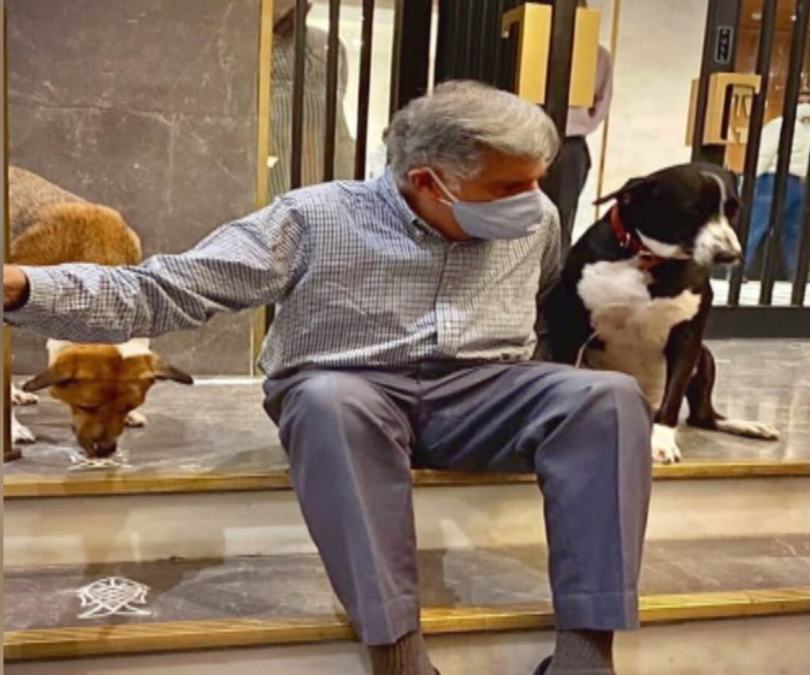 Tata Group s Ex Chairman Ratan Tata s Love For Strays Dogs