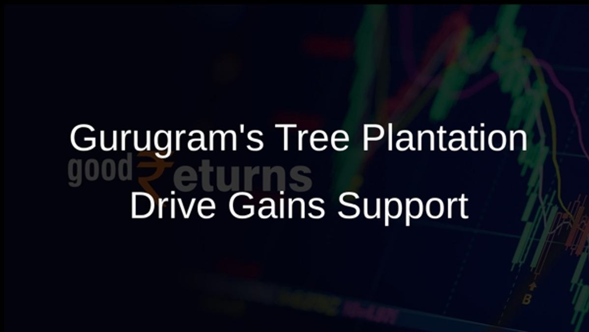 Gurugrams Tree Plantation Drive Gains Support