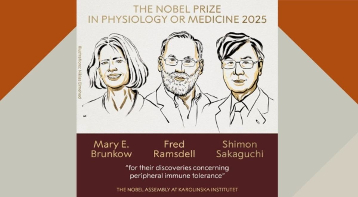 2025 Nobel Prize in Medicine Winners Announced
