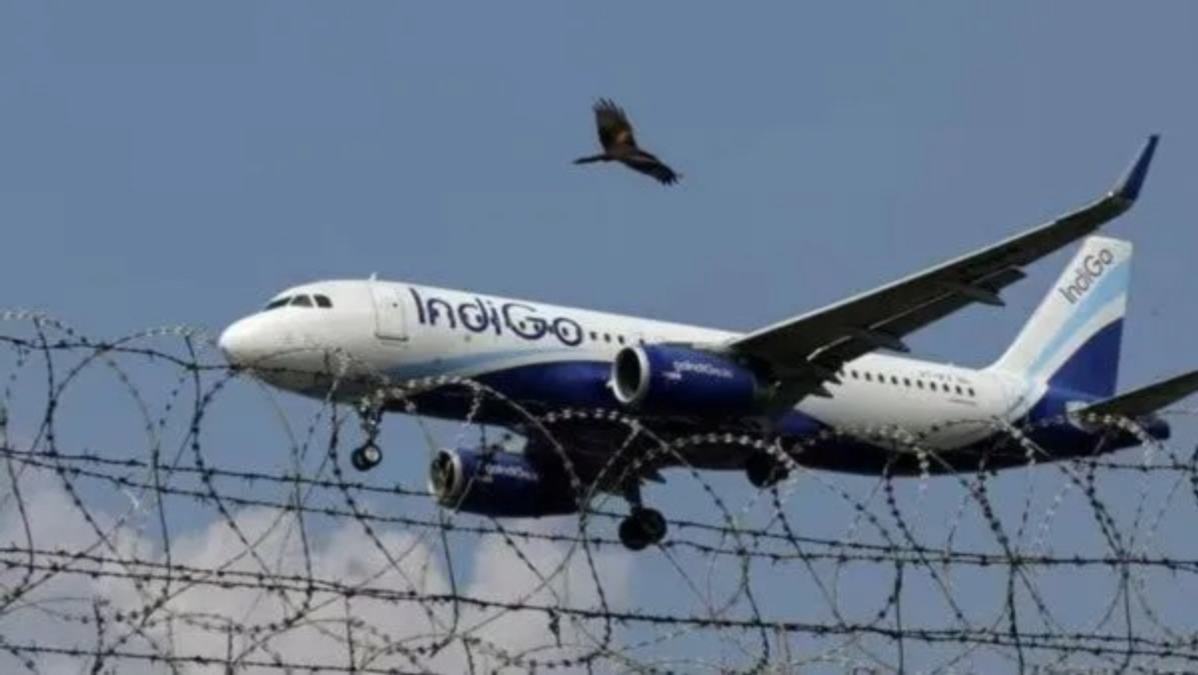 IndiGo