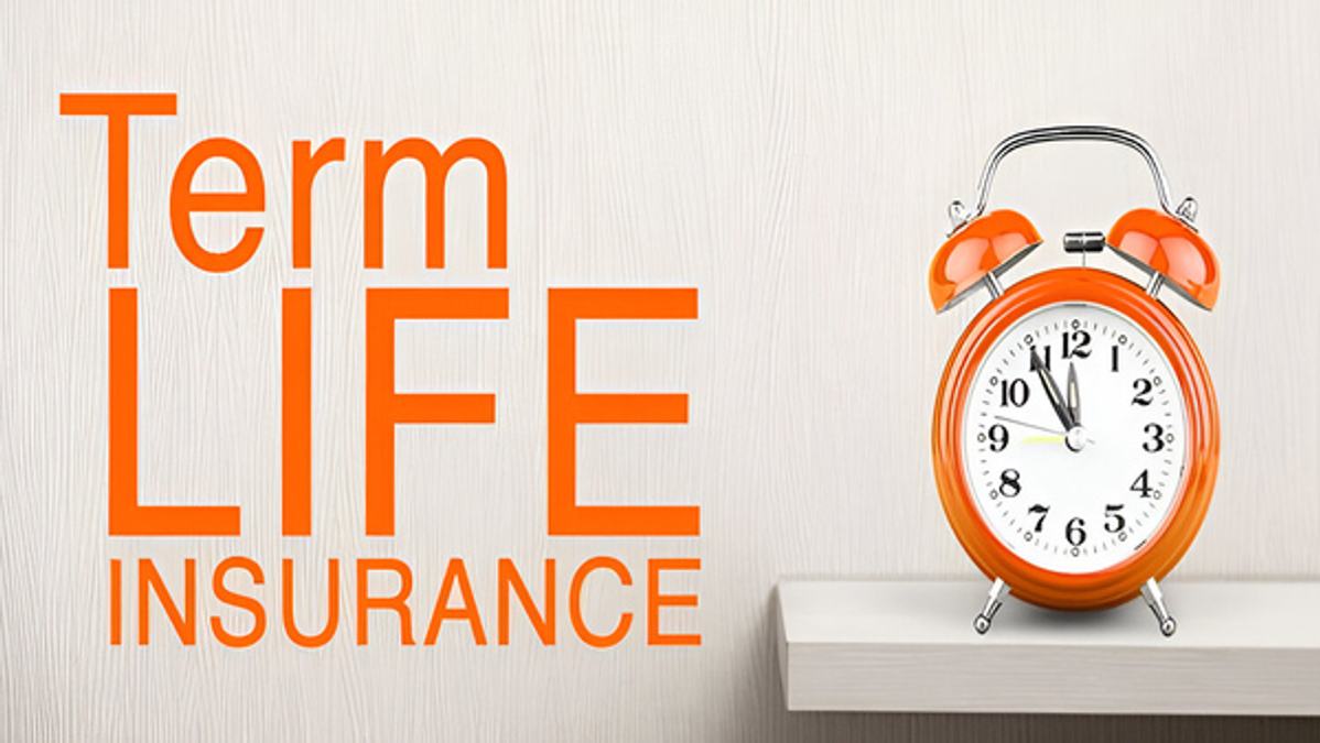 Top 5 Flexibilities You Must Look For In A Modern Term Insurance Plan