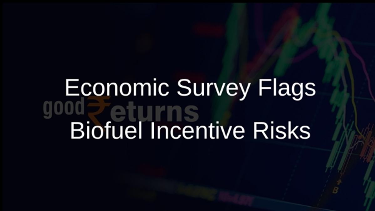 Economic Survey Flags Biofuel Incentive Risks